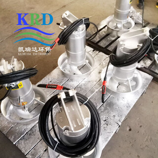 南京凯瑞达环保QJB0.55/6反应池搅拌机图片2
