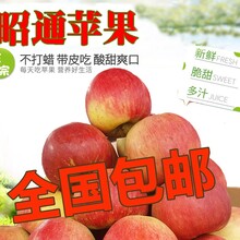 现摘云南糖心苹果昭通丑苹果新鲜水果10斤包邮