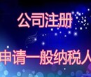 专业代办企业申请一般纳税人、代理记账报税、汇算清缴报告