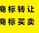 一手自有商标转让、低价转让变更、商标注册代理图片