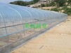 湖北大棚日光温室大棚日光温室建造温室大棚内的温度变化特征