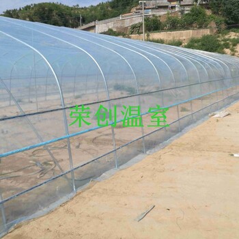 温室大棚建造温室大棚厂家温室大棚公司生态温室餐厅大棚