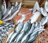 越南冻带鱼进口报关流程,资料,手续