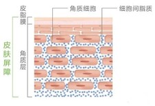 图片0