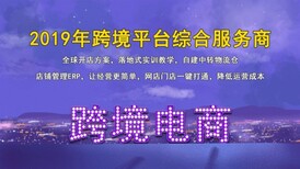 在今天火爆的亚马逊无货源市场里面如何长久运营盈利亚马逊店铺？图片3