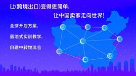 在今天火爆的亚马逊无货源市场里面如何长久运营盈利亚马逊店铺？图片5