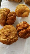 东北猴头菇蘑菇批发产地批发质优价廉图片
