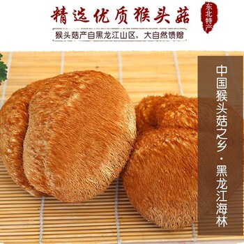 中國猴頭菇之鄉(xiāng)產(chǎn)地批發(fā)零售猴頭菇