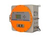 SR-2030EX-防爆电化学氧分析仪