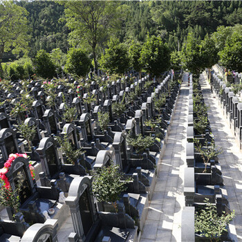 北京市墓地，北京墓地价格上涨严重墓地不足