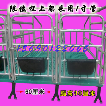 母猪定位栏限位栏加厚养殖设备猪用产床分娩床复合漏粪板食槽配件
