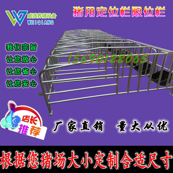 落地式母猪限位栏定位栏厂家养猪设备