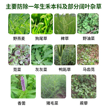 芹菜苗后除草剂厂家生产禾阔双除