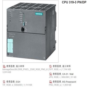 供应西门子电源模块CPU313C-2PTP