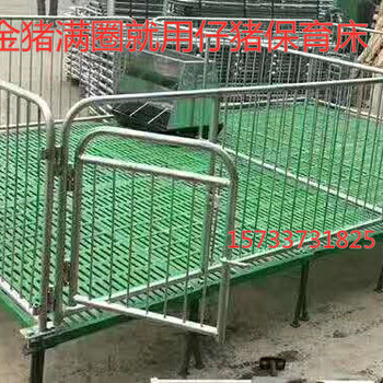 仔猪保育床复合板保育栏母猪产床定位栏养猪设备畜牧机械
