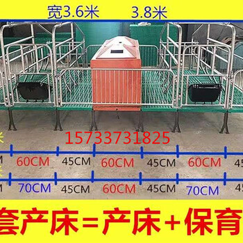 河北滕硕复合母猪产床厂家