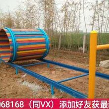 体能乐园蹦床-体能乐园设备-体能乐园项目图片