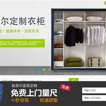 深圳卧室家具公司定制双门实木衣柜储物柜衣橱加盟图片