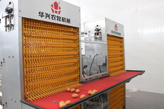 河南金牧人机械设备有限公司_蛋鸡笼自动化养殖设备图片1