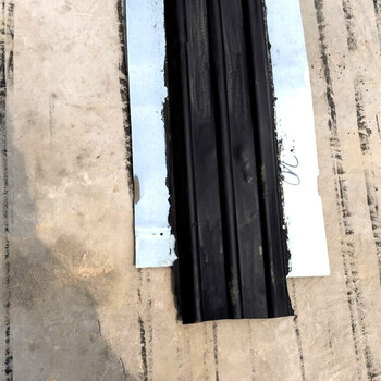 廠家供應(yīng)止水帶道路橋梁鋼邊止水帶質(zhì)優(yōu)