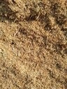 北京山體邊坡修復(fù)綠化噴播工程基質(zhì)微生物菌肥