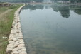湖北河道生態修復水質改良微生物菌劑
