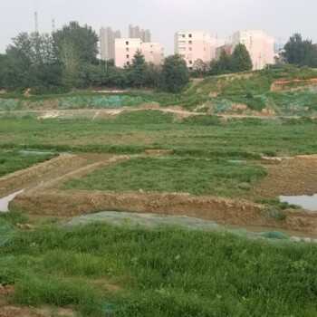 山東高分子礦物復(fù)合微生物土壤改良劑廠家銷售