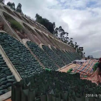 北京重金屬生態(tài)修復工程微生物土壤改良劑