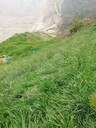 內(nèi)蒙古農(nóng)業(yè)土壤污染生態(tài)修復(fù)改良劑廠家銷(xiāo)售