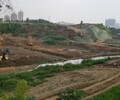 廣東重金屬污染微生物土壤改良劑廠家銷售