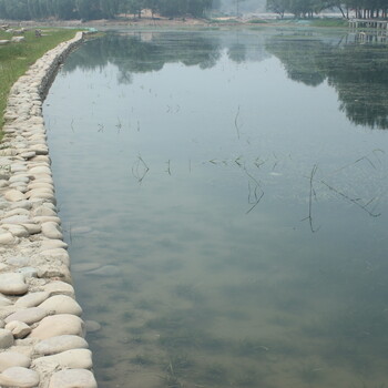 河南城市河道底泥生态修复污泥固化剂厂家销售