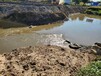 山西河道底泥原位生态修复工程底质改良剂