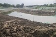 北京城市河道生態修復污泥固化劑廠家銷售