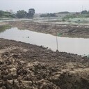 福建河道底泥原位生態(tài)修復(fù)技術(shù)底質(zhì)團(tuán)粒改良劑