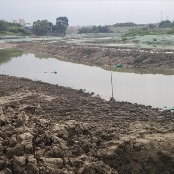 福建河道底泥原位生态修复技术底质团粒改良剂