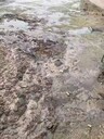 上海污染水體底泥生物固化技術(shù)團(tuán)粒結(jié)構(gòu)改良劑