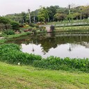 吉林湖泊河道底泥原位生態(tài)修復(fù)底質(zhì)改良劑