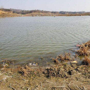 湖北公园湖泊河道底泥改良剂批发销售