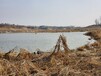 遼寧污染河道生物制劑原位修復技術產品