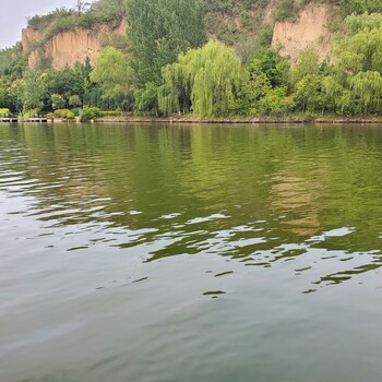 河南城市黑臭水體治理生態(tài)修復(fù)工程底泥固化劑