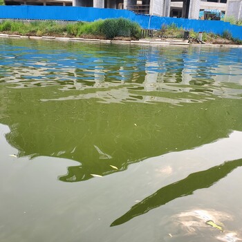 陕西河道湖泊生态修复原位生物固化技术