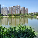 重慶水生態(tài)環(huán)境修復(fù)微生物制劑EM菌批發(fā)銷售