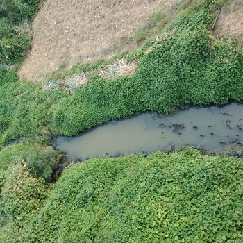 陕西河道修复激发土著微生物活性催化剂