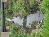 北京城市污染水體生態修復工程固液分離物化凝聚劑