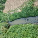重慶河道修復工程微生物底泥改良劑