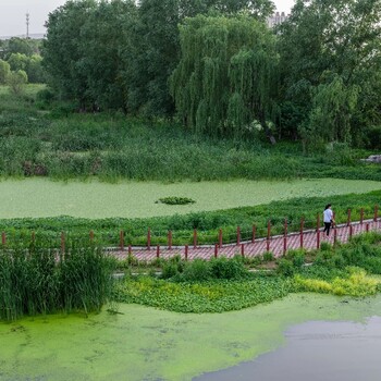 陕西污染水体生态修复微生物制剂EM菌