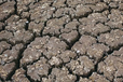 吉林污染土壤生態修復基質生物炭