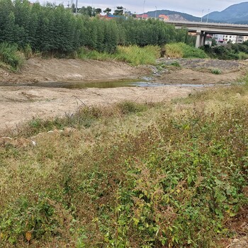 福建河道修复多功能矿物凝聚剂