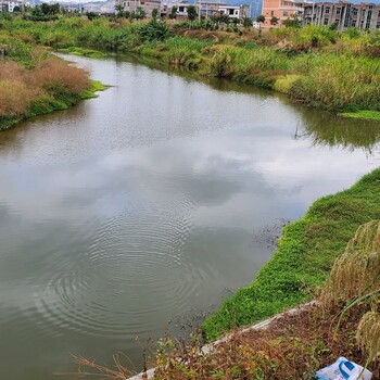 遂宁城市河道治理技术微生物环境剂