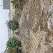 广西河道治理修复工程底泥原位修复剂